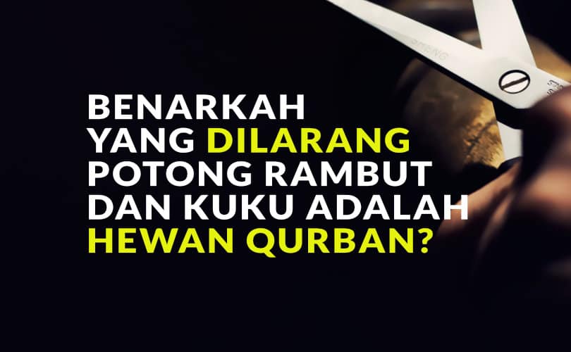 Yang Dilarang Potong Rambut Dan Kuku Adalah Hewan Qurban