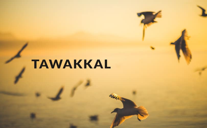 Tawakkal