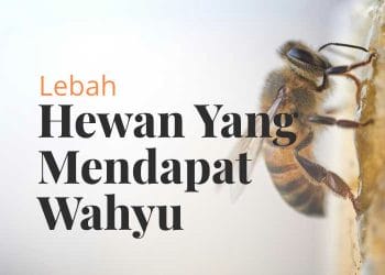 Lebah wahyu
