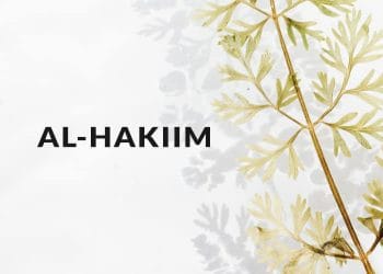 apa arti nama Allah Al-Hakiim