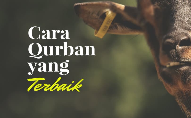 Bagaimana Cara Qurban Yang Terbaik?