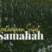 Sifat Samahah