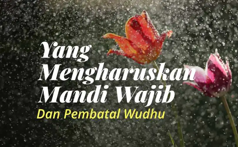 wudhu mandi wajib
