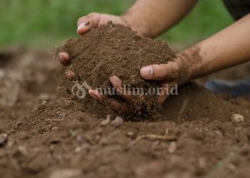 Hukum Menaburkan Debu Tanah di Atas Kubur