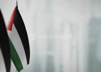 Apa yang Bisa Kita Lakukan untuk Palestina
